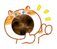 860807650