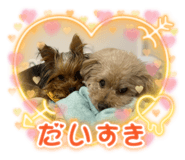 860807652