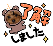 860807661