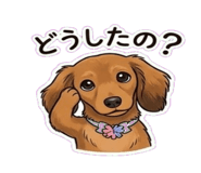 860808294