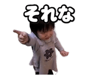 860808455