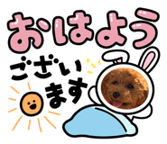 860808605