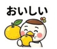 860809722