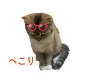 860809854