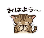 860810360