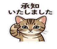 860810374