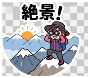 860810690