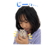 860810916