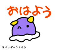 860810993