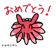 860810996