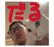 860811117