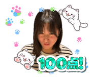860811247