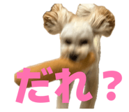 860811320