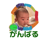 860811370