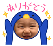 860812056
