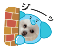 860812123