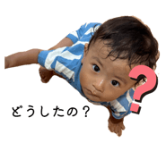 860812373