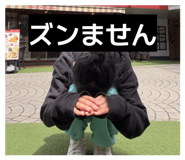 860812386