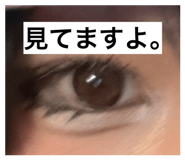 860812398