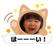860812411