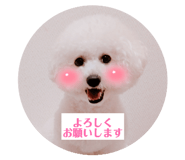 860812419