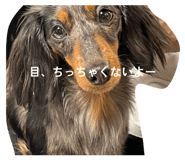 860812507