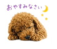 860812854