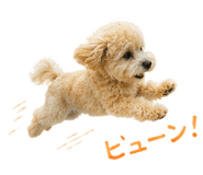 860813052