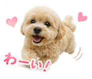 860813054
