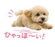 860813064