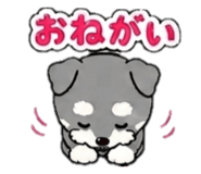 860813109