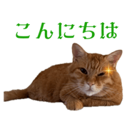 860813114