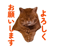 860813120