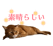 860813125