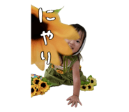 860813206