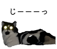 860813258