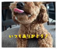 860813286