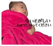 860814555