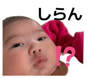 860814557