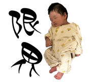 860814955