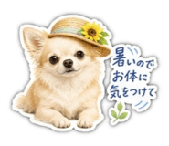 860815497