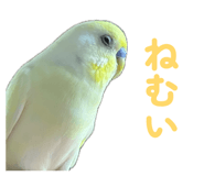 860815625