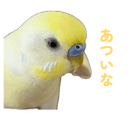 860815628