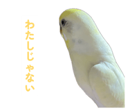 860815632