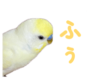 860815633