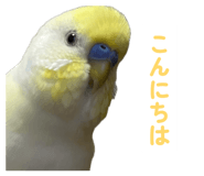 860815634