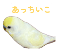 860815637
