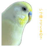 860815641