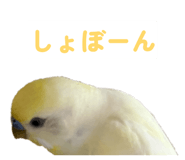 860815642