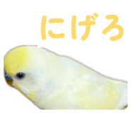 860815647